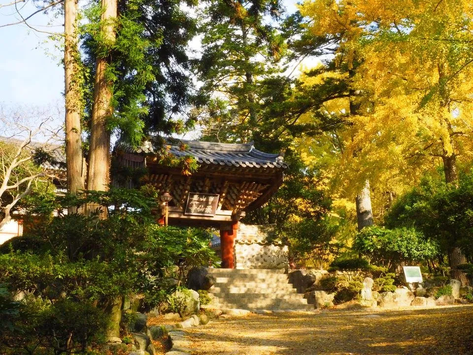 _A280014.JPG