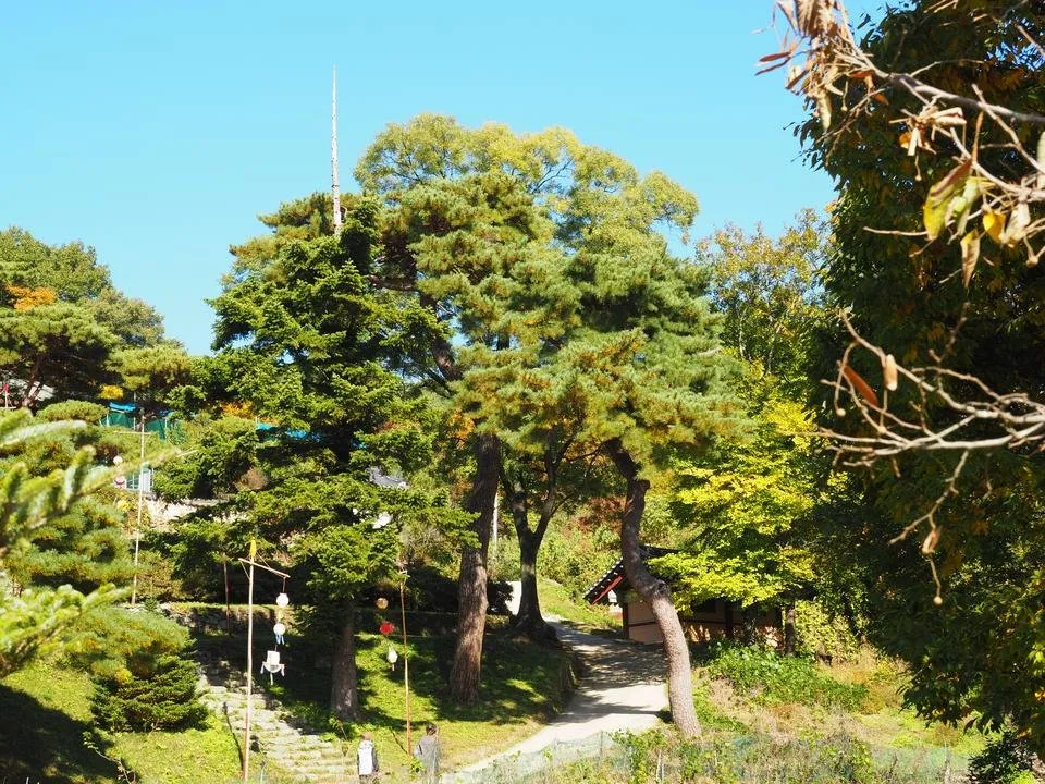 PA200060.JPG
