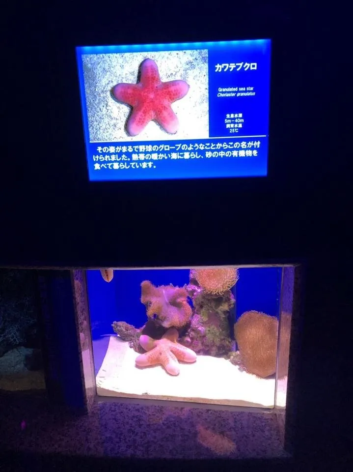 S__89055236.jpg