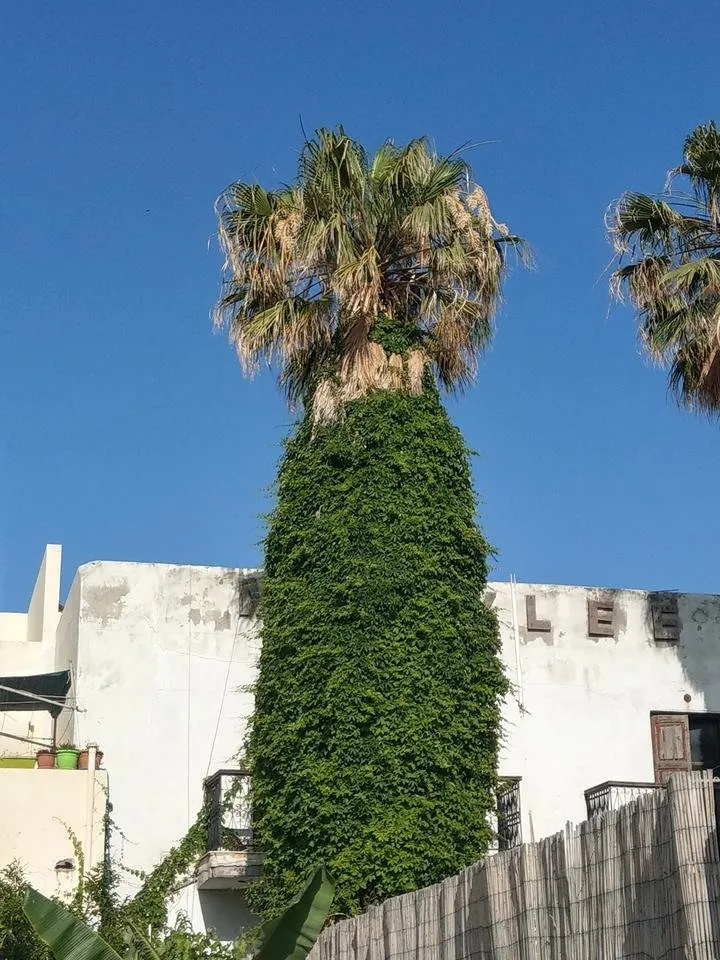 IMAG0688.jpg