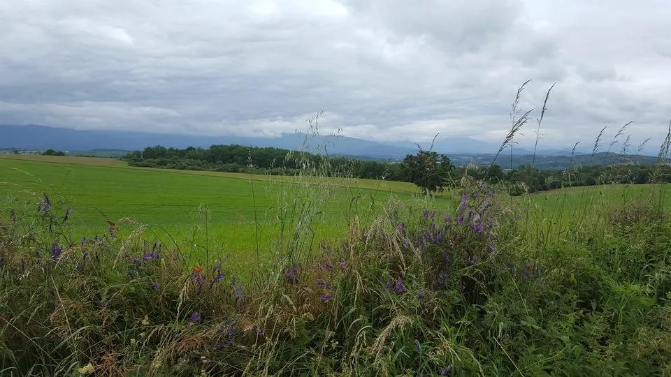 20160611_135118.jpg