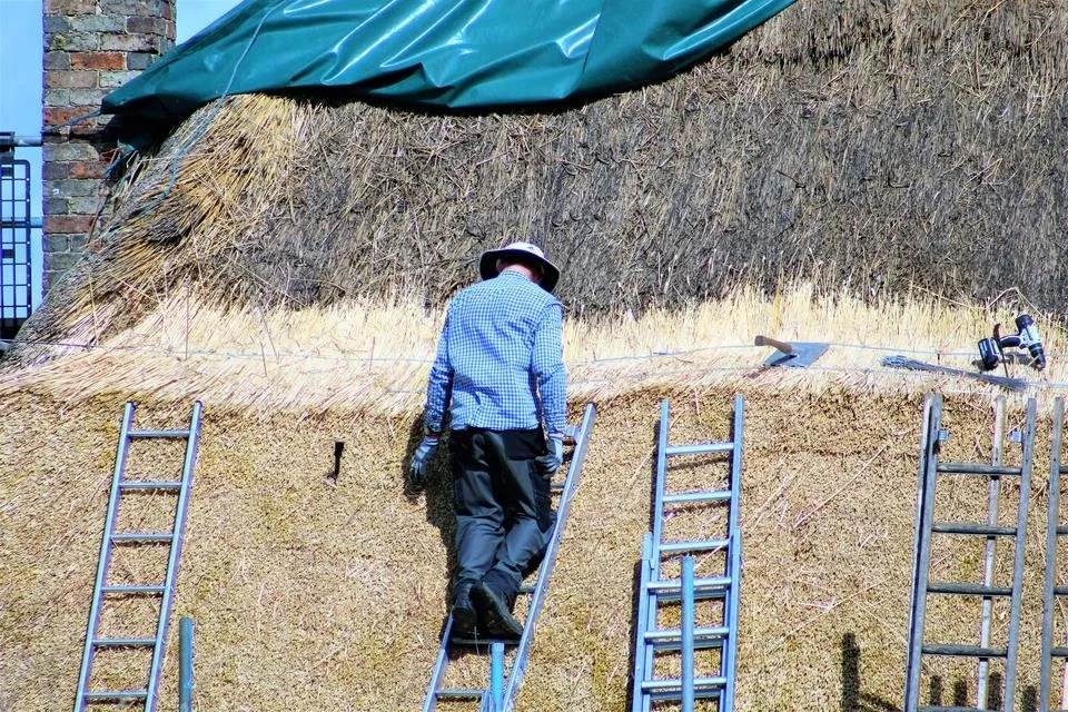 thatcher at work1.jpg