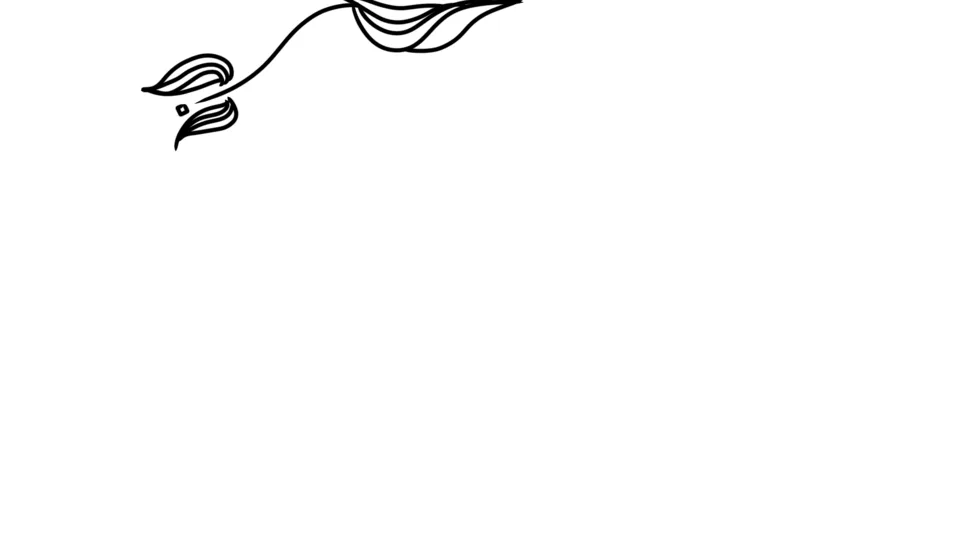 C25622BE-F395-4183-9086-D4900C554B51.png