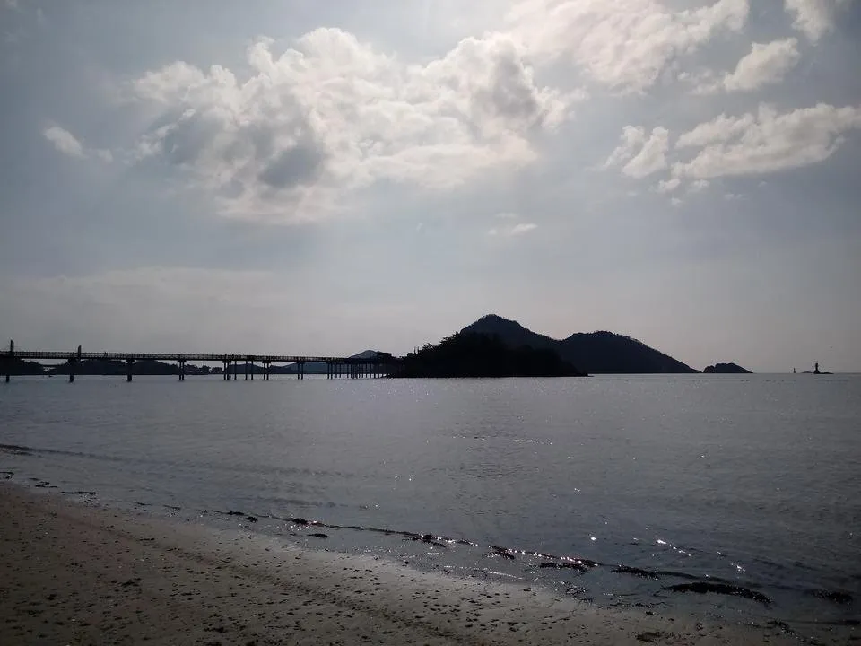 20180901_154804.jpg