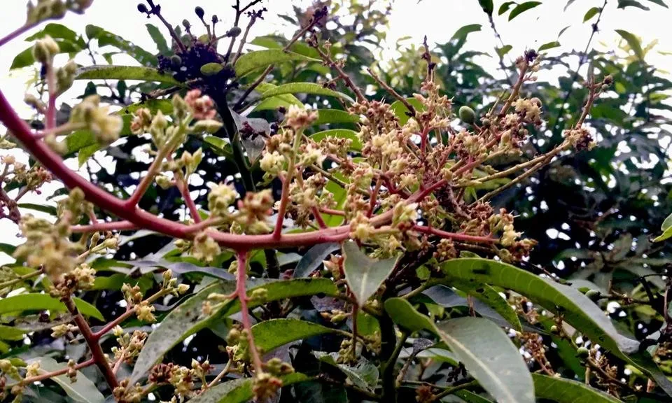 3BEE2AD6-4C88-4D97-AB34-ECDF644890D9.jpeg