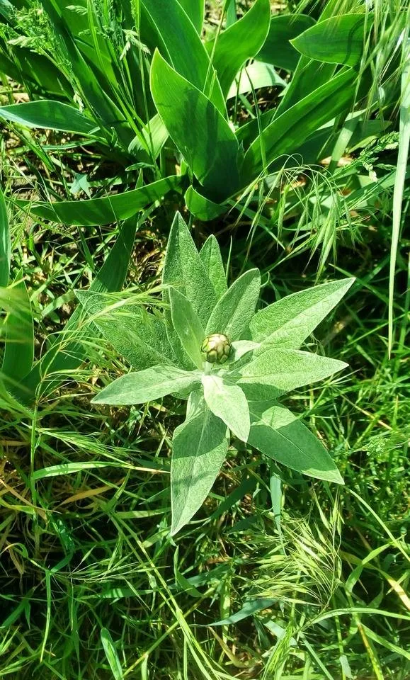 photo2.jpg