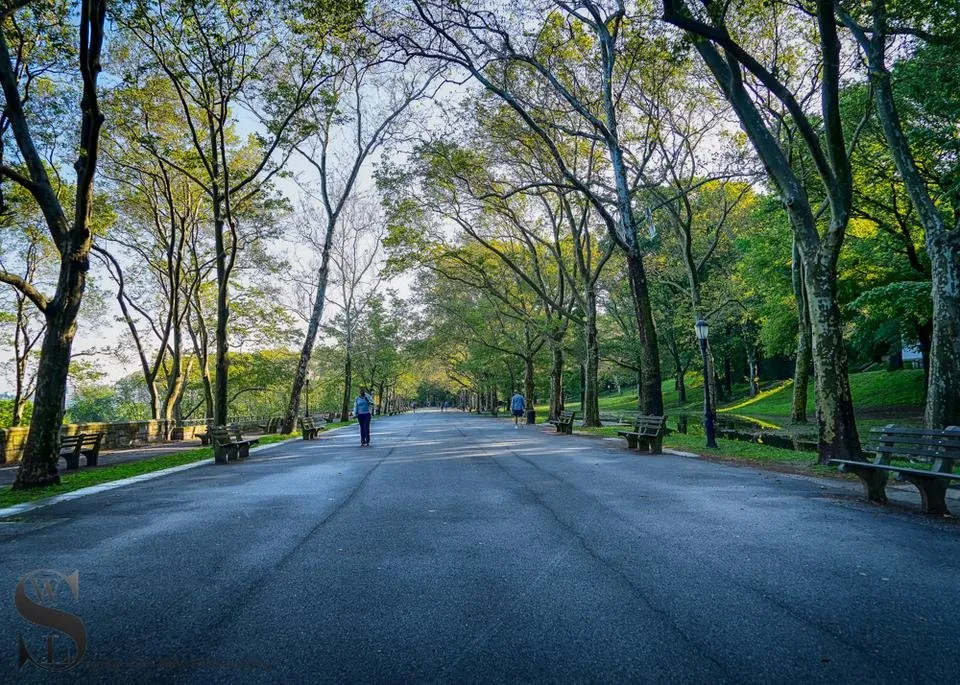 1 Wednesday Walk Riverside park west-6.jpg