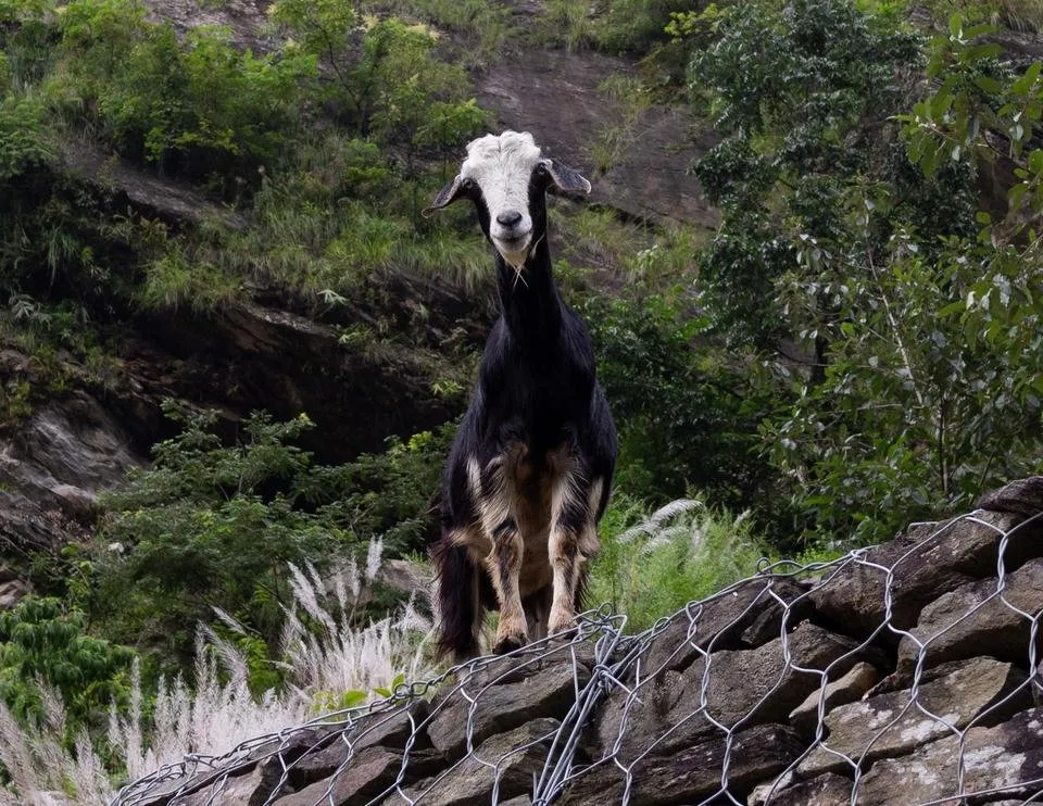 2018_09 - Nepal-198.jpg