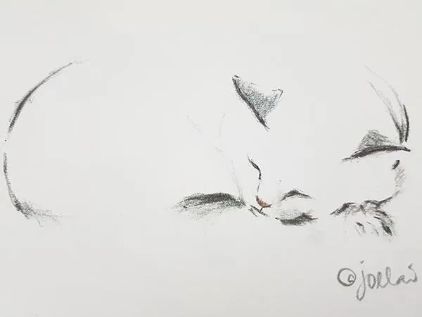 Cats03b.jpg