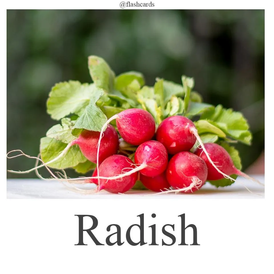 Radish.jpg