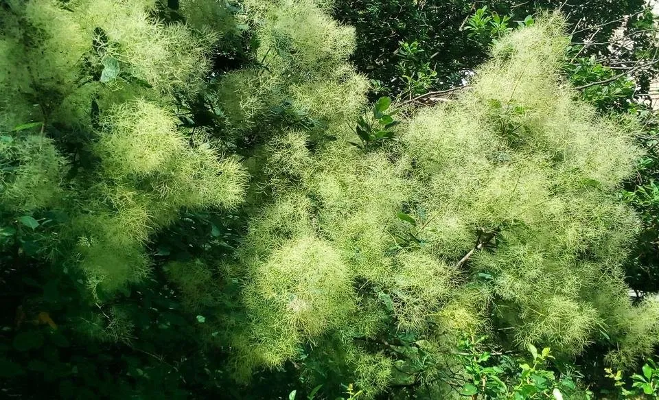 photo17.jpg