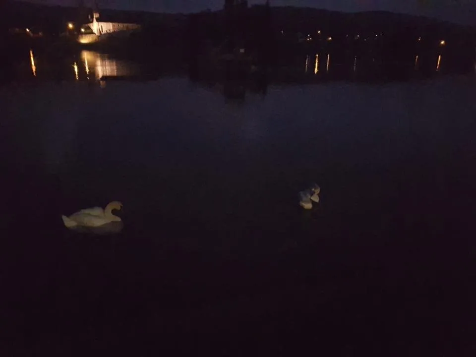 steinamrhein-reihnpark-03.jpeg