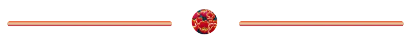 separator-modificat.png
