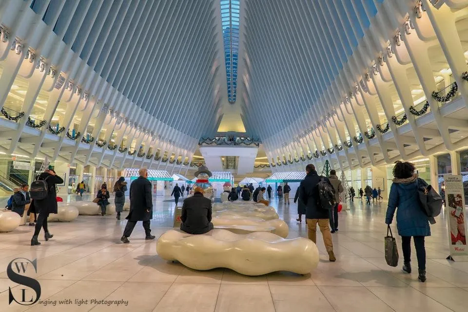 1 Inside the occulus-4.jpg