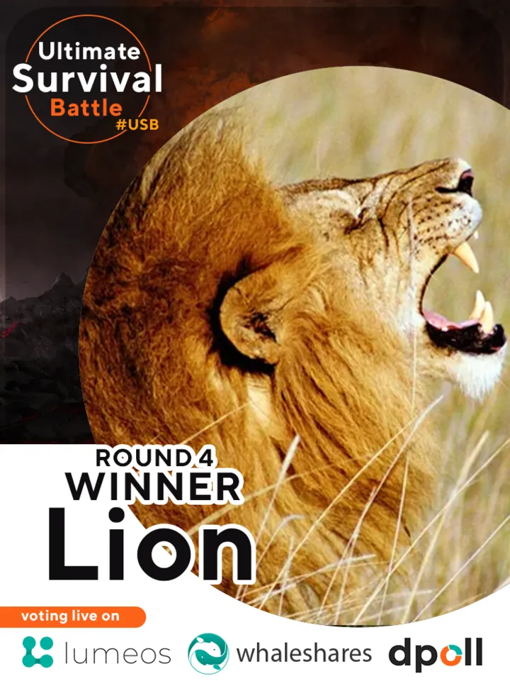 lumeos_battle_winner4.png