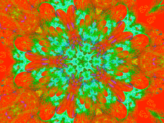 15415716qw2629855611.gif