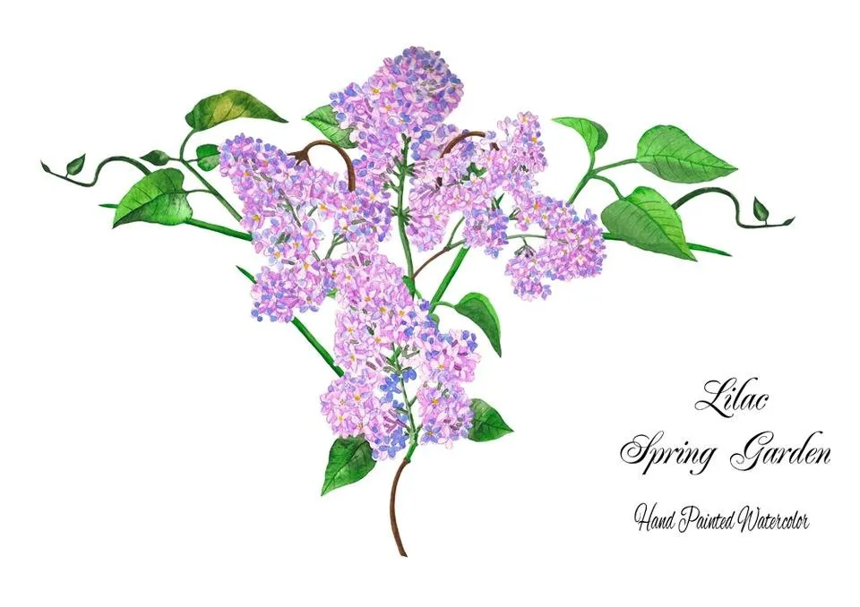 Lilac Spring Garden 6.jpg