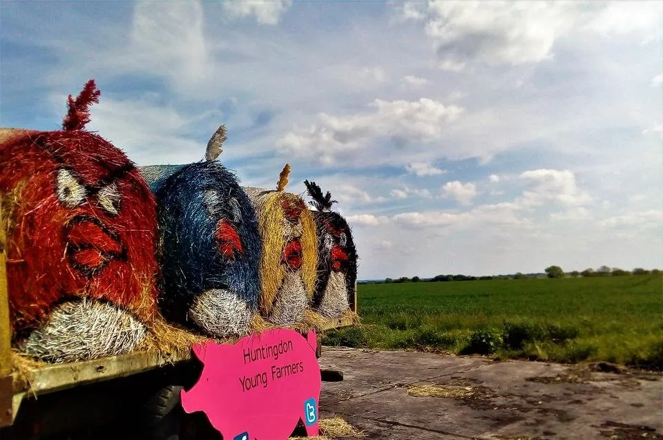 angry birds angled.jpg