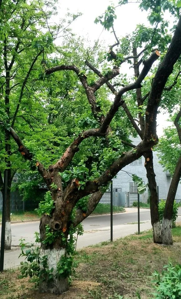 photo1.jpg