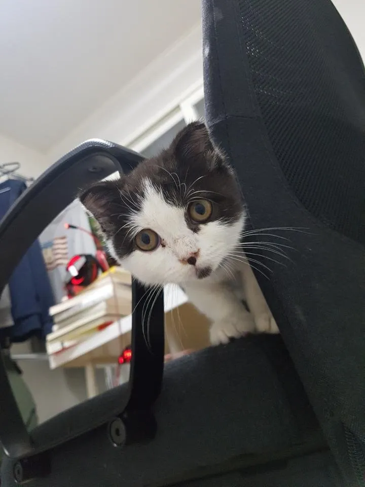 KakaoTalk_20181017_003725070.jpg