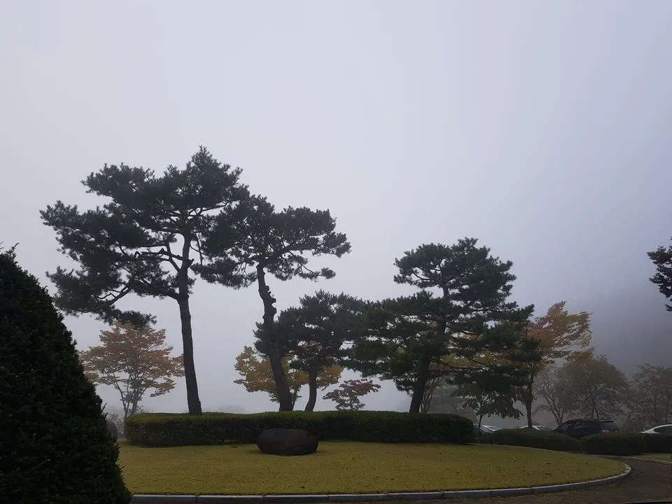 20191016_080730.jpg