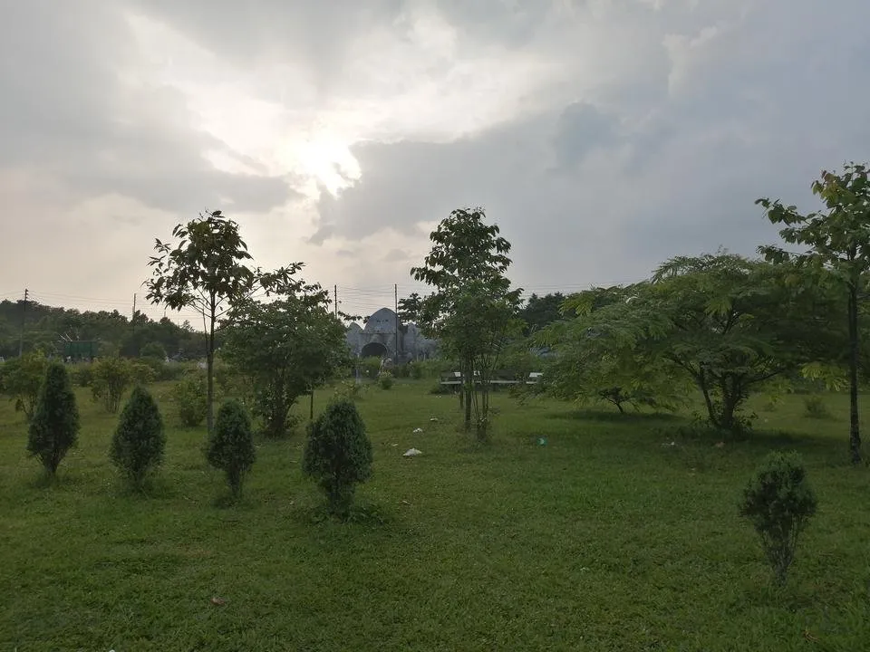 IMG_20190606_172549.jpg