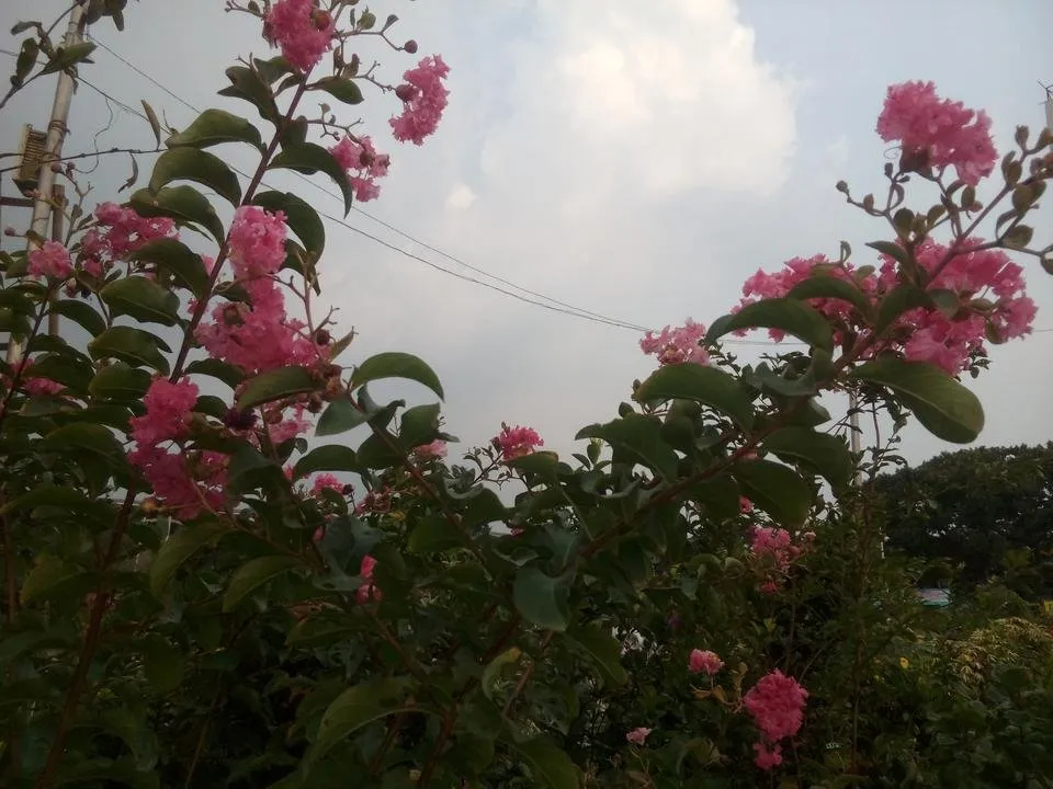 IMG_20180818_175607.jpg