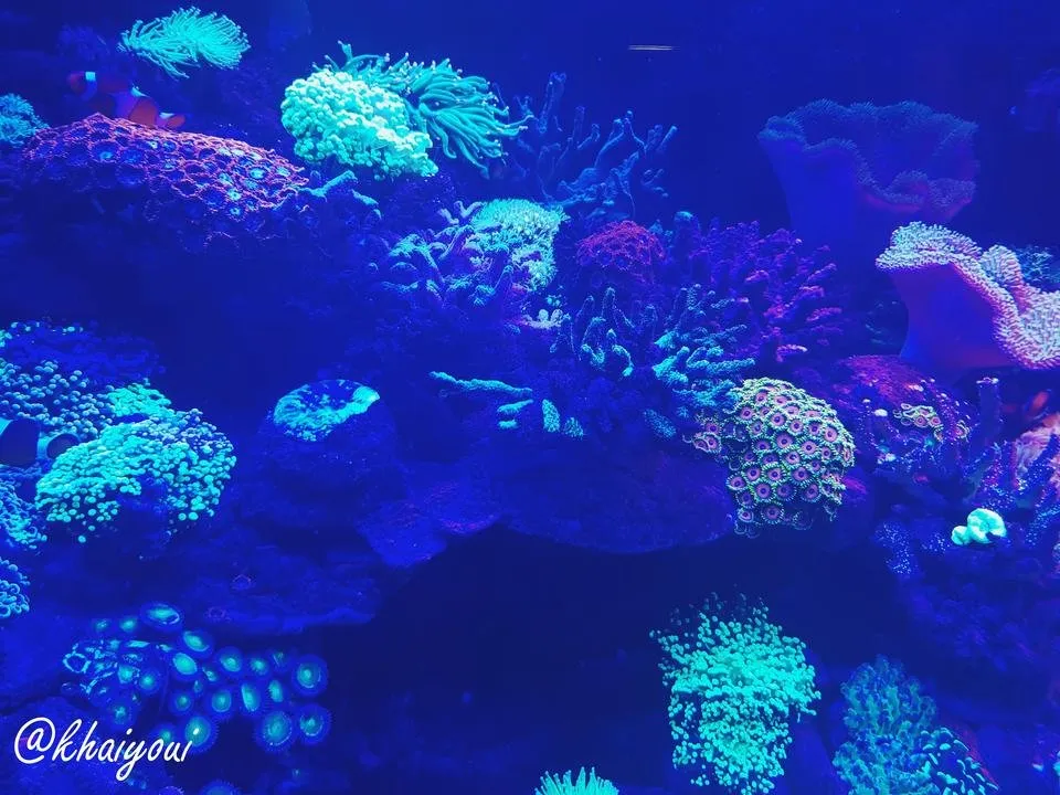 Fotor_154475851626036.jpg