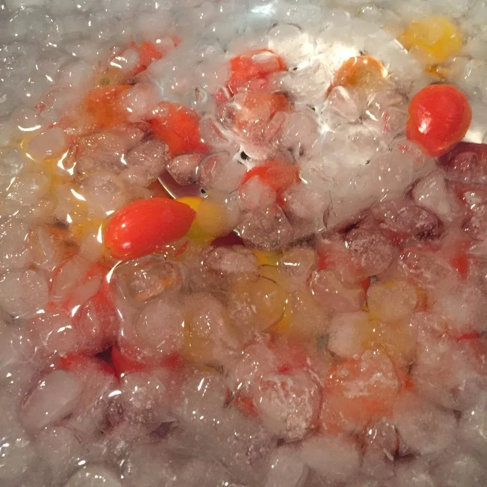 Tomatoes Being Shocked in Ice Bath for Waffles.JPG