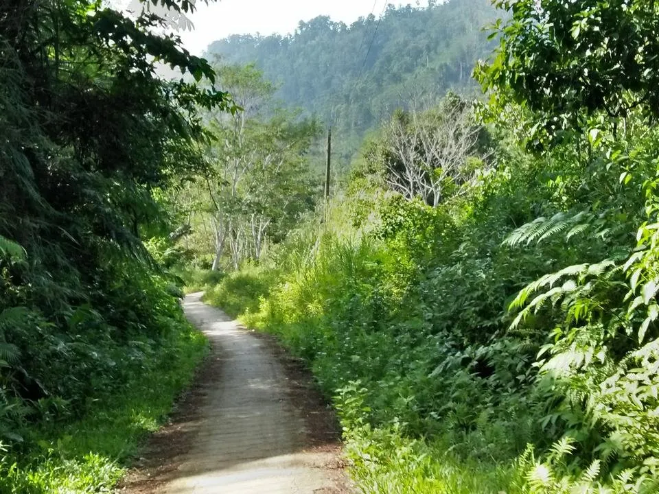 IMG20180718084049.jpg