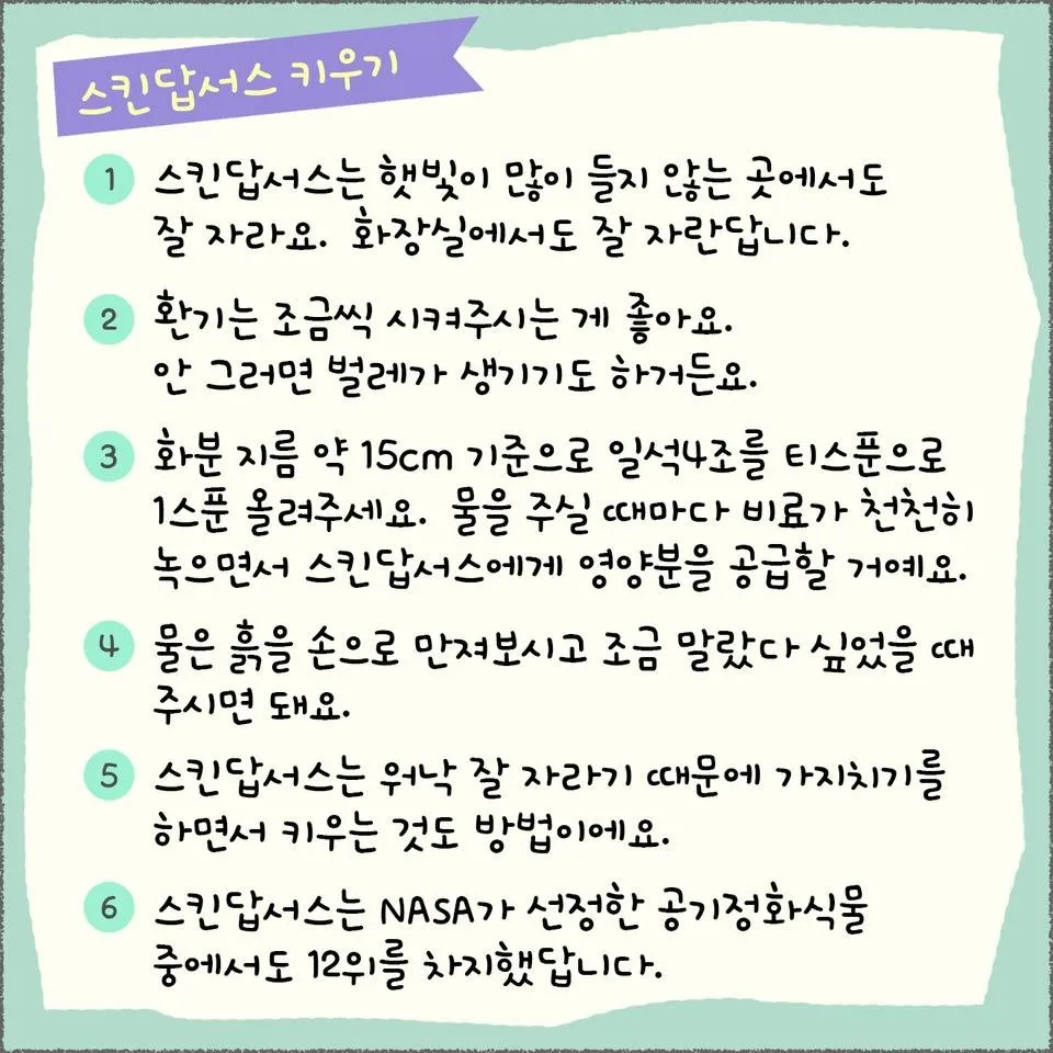 blog07_20.jpg