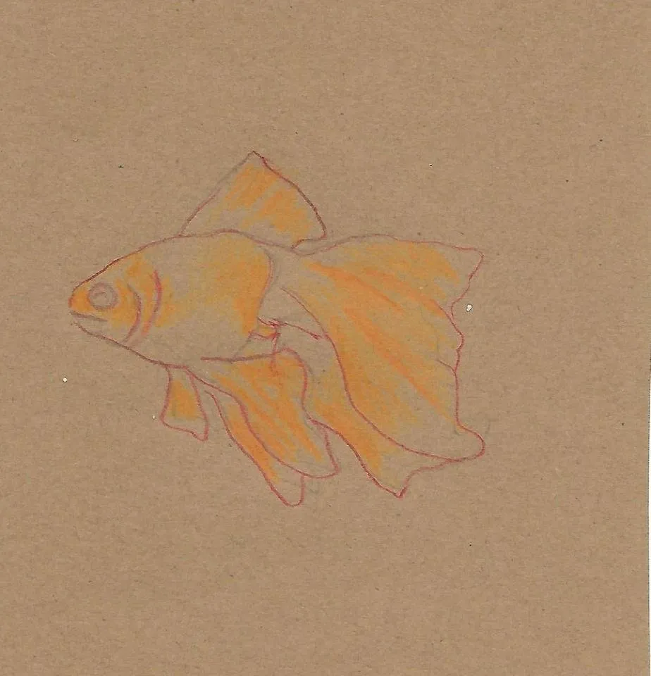 Scan_0002.jpg