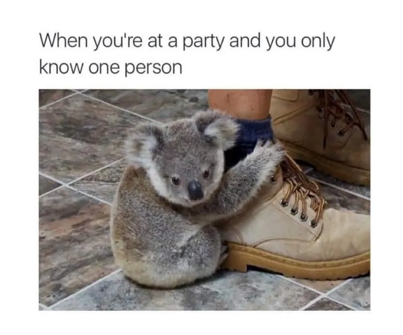 10153804364777611.jpg