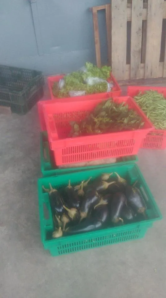 IMAG0021.jpg