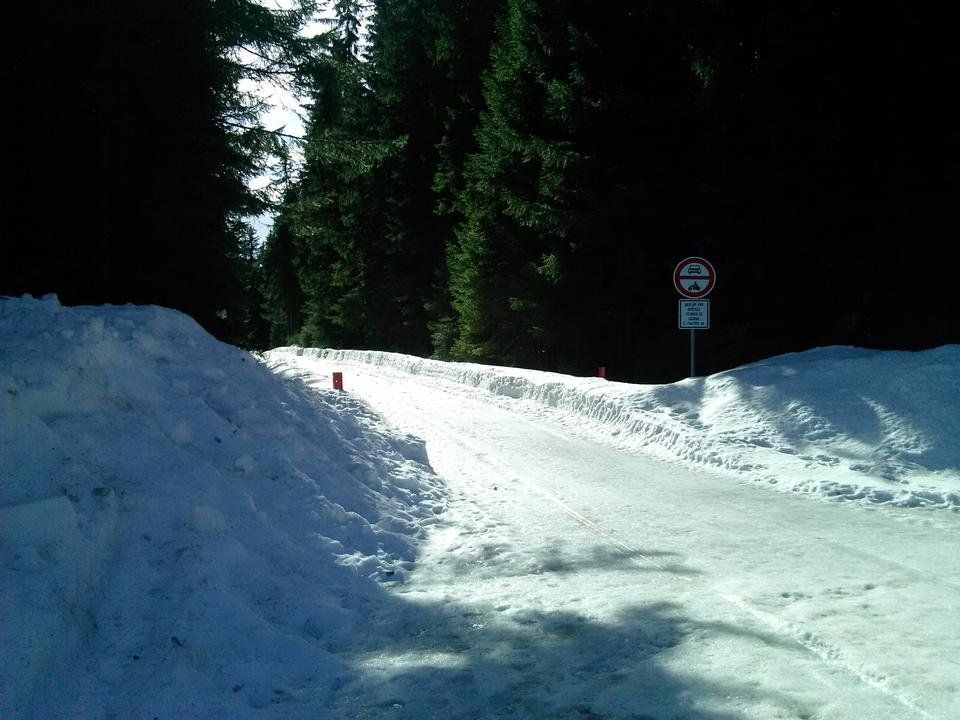 IMG_20190226_111034.jpg