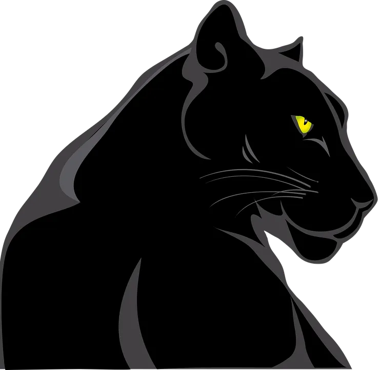 panther-3316354_960_720.png