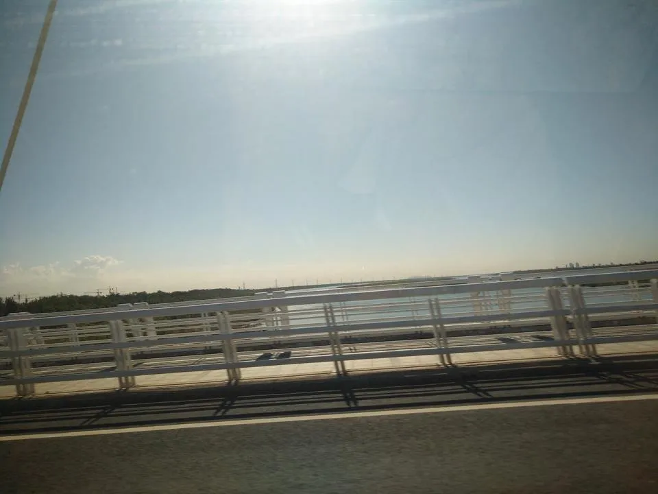 IMG20180908091522.jpg