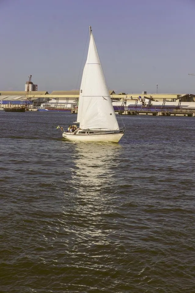 DSC05217.jpg