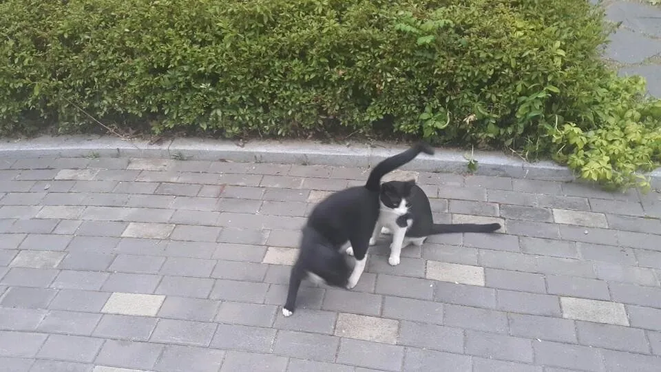 KakaoTalk_20180803_211642590.jpg