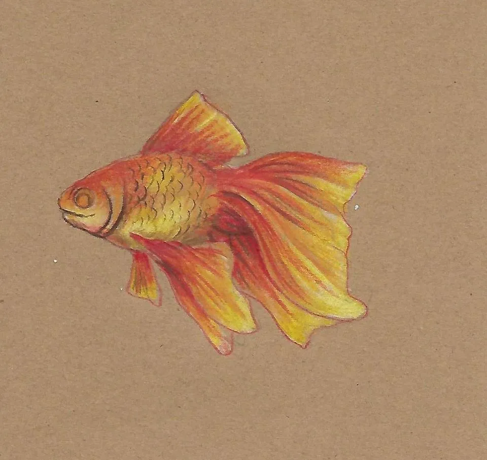 Scan_0006.jpg