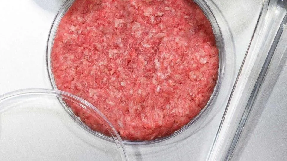 cultured-meat-gty-er-180711_hpMain_16x9_992.jpg