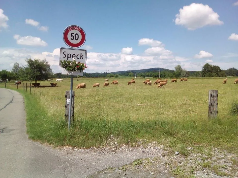 Speck ZH