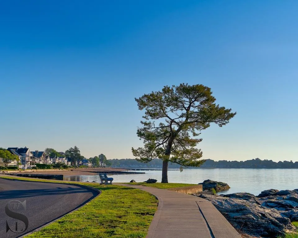 1 TT Mixed trees -3.jpg