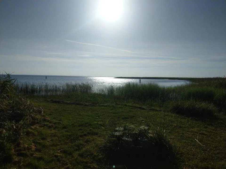 IMAG7614.jpg