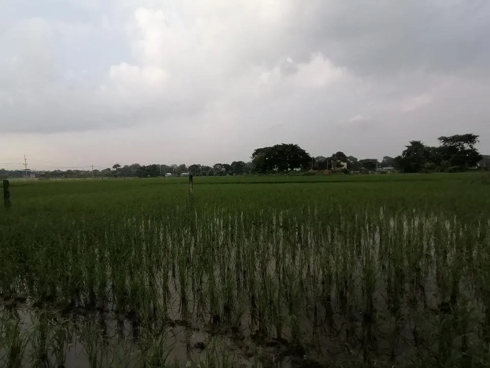 IMG_20191003_152858.jpg