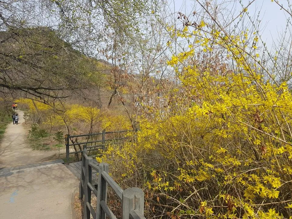 20190407_151332.jpg