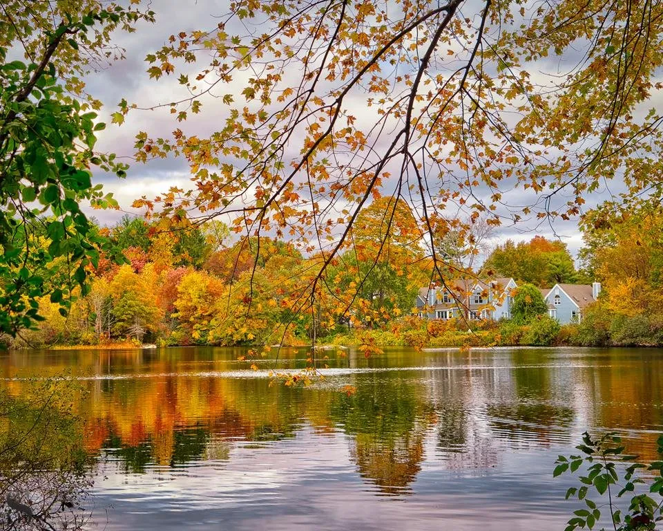1 Autumn colors in mondo Ponds.jpg