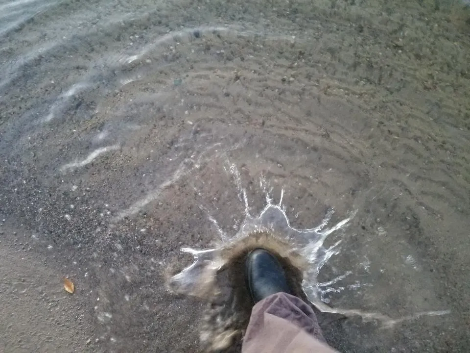 20181118_172643.jpg