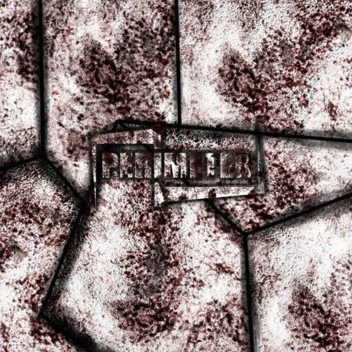 Perimeter - COVER.jpg