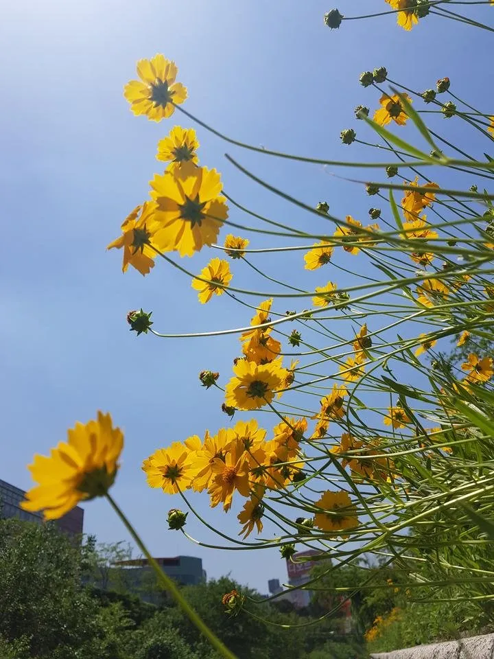 20190529_122803.jpg